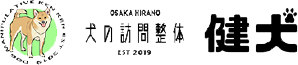犬の訪問整体　健太